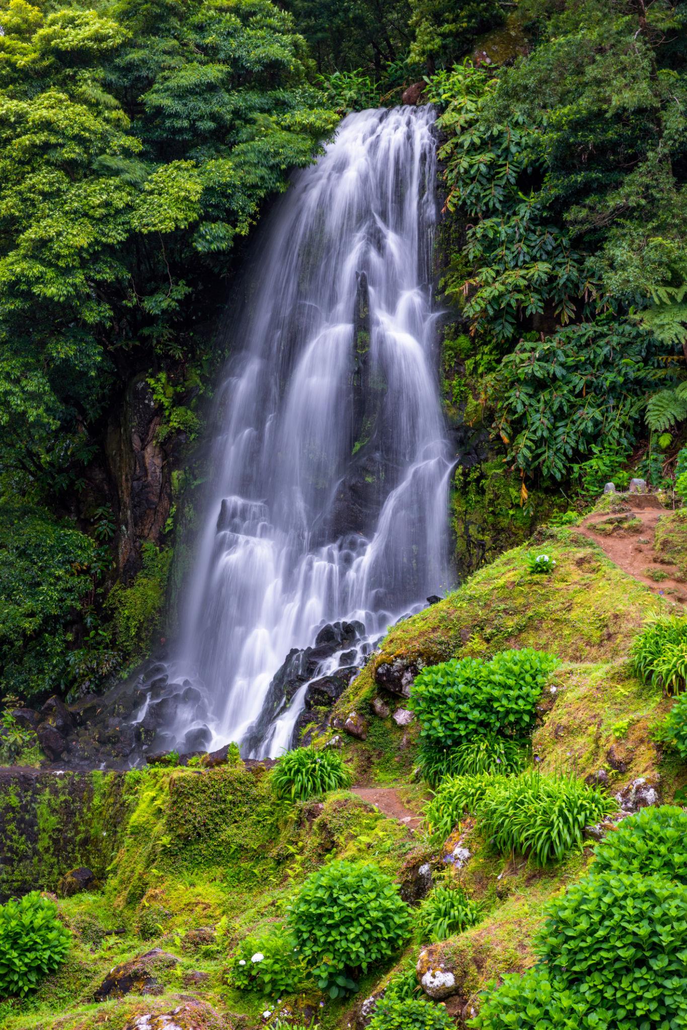 Hidden waterfall in Nordeste forest