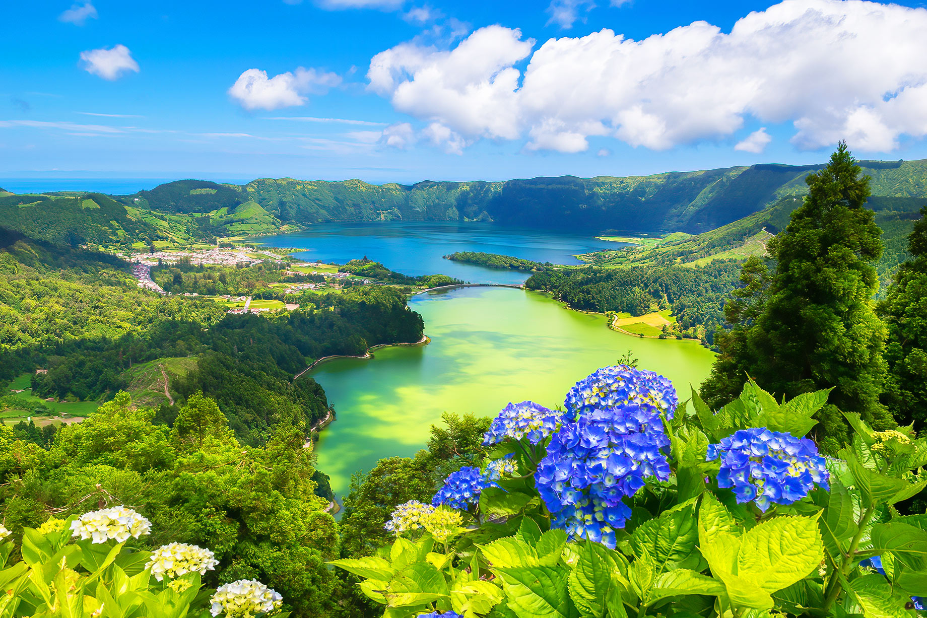 Lagoa Verde — the green lake of Sete Cidades, São Miguel