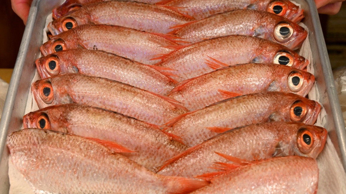 季節のおすすめ