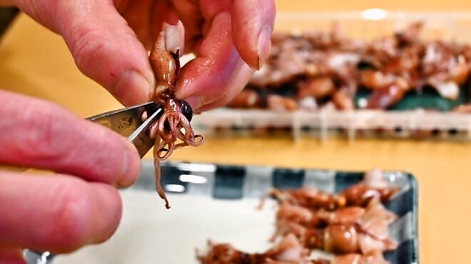 春の味覚が入荷中!