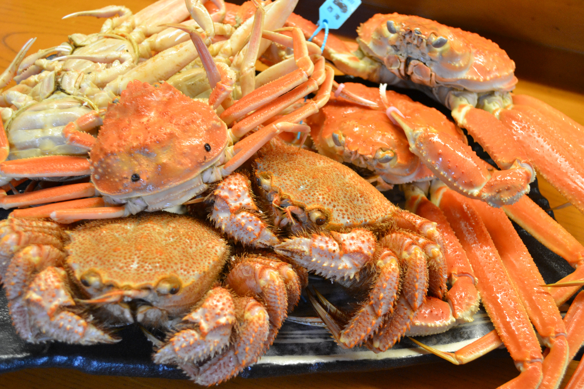 蟹シーズンのお知らせ