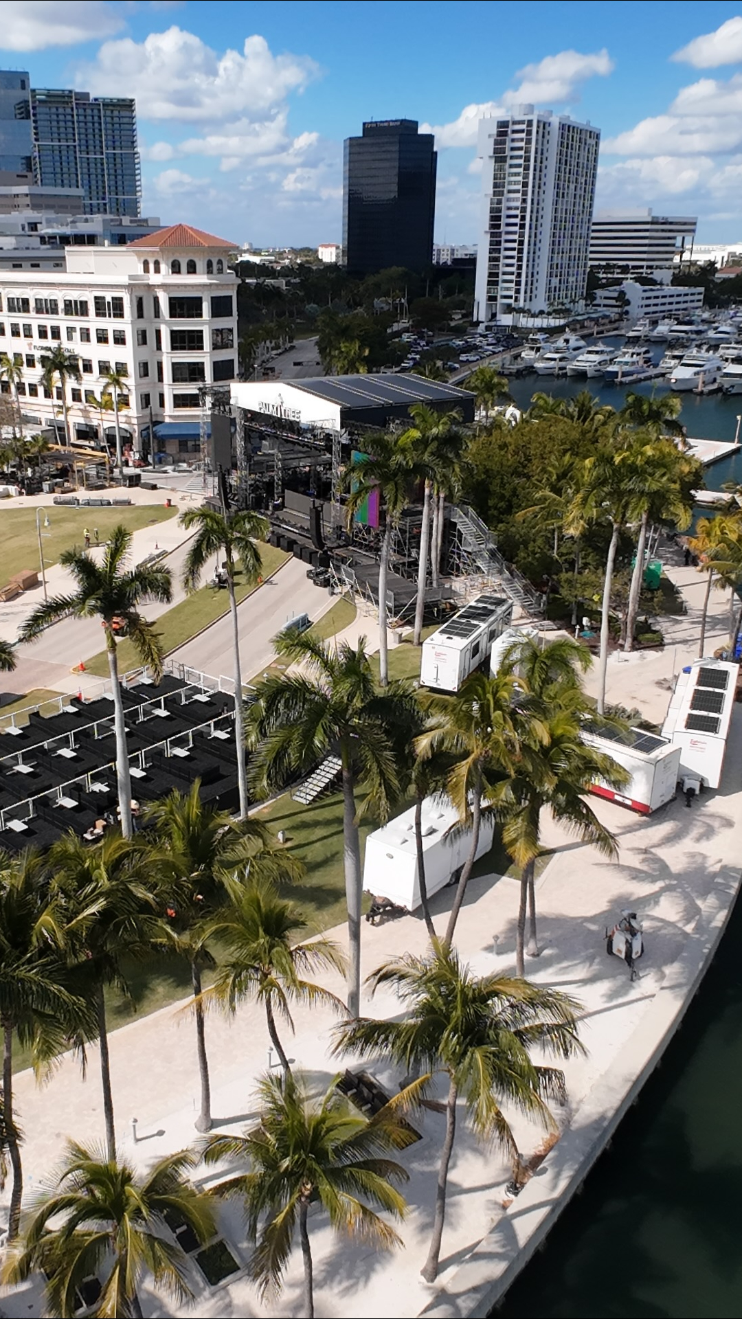 Palm Tree Festival 2026