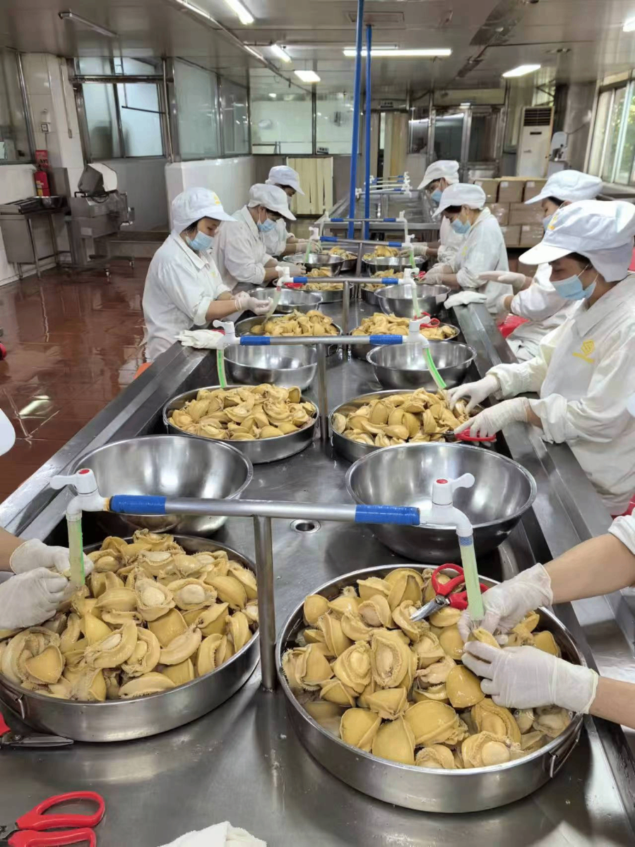 我們的生產工場