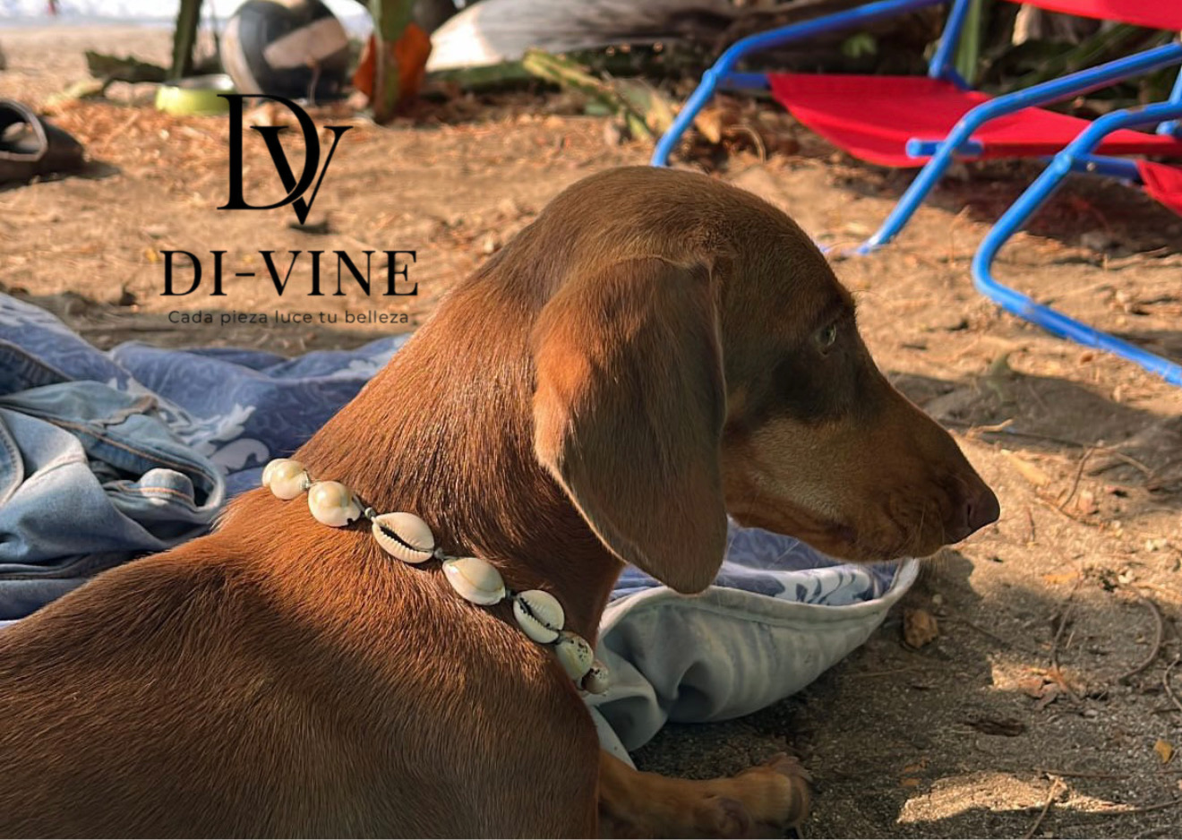 Personalización de joyería Di-Vine
