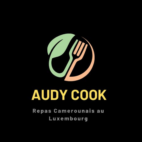 AUDY COOK Logo