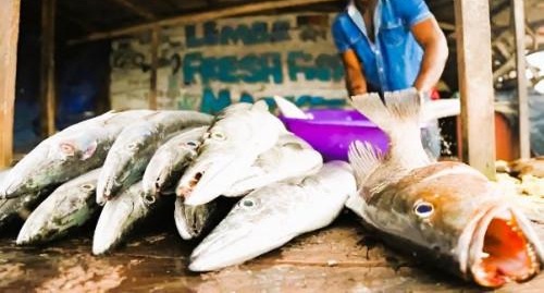 Notre équipe et nos produits