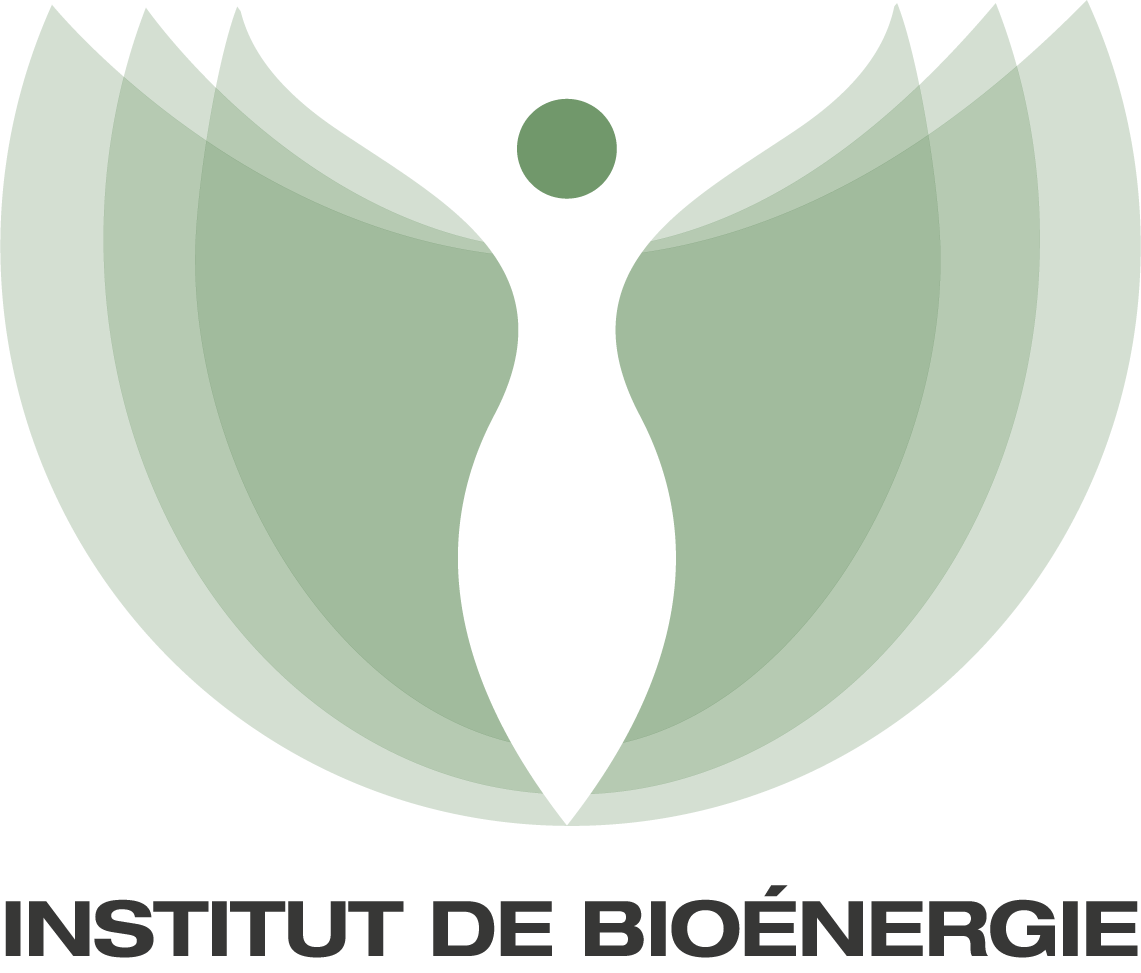 IBST Logo