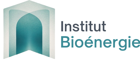 IBST Logo