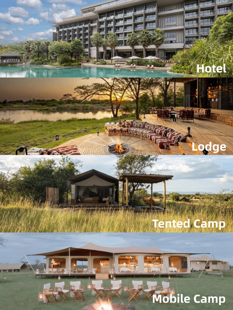 坦桑尼亚Safari四种住宿类型对比:Hotel、Lodge、Tented Camp和Mobile Camp