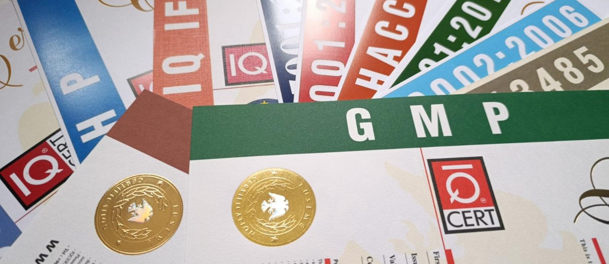 IQ CERT GMP, HACCP, ISO sertifika belgeleri - uluslararası geçerli sertifikalar