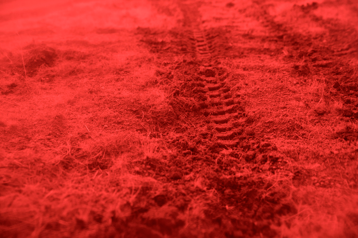 Bloodline Tire Tracks