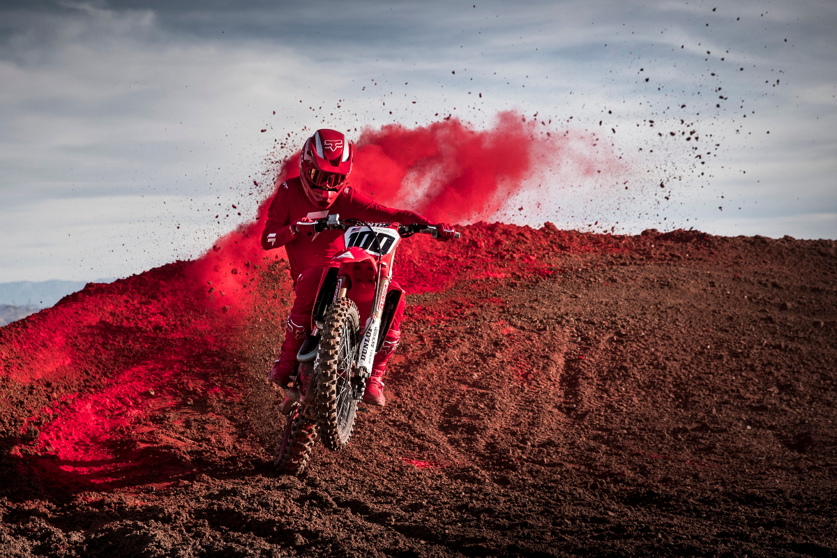 Bloodline Action Shot