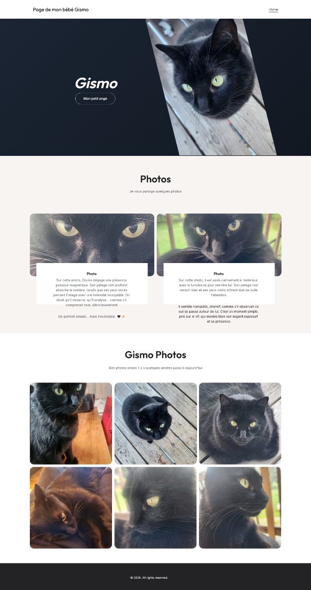 Gismo