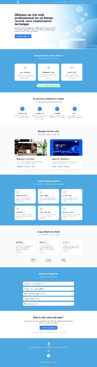 Professional Website
