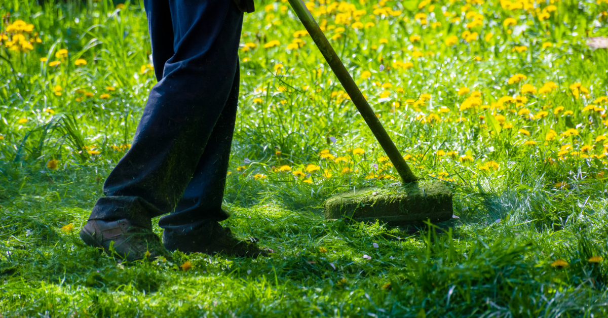 Seasonal Maintenance service in Quad Cities