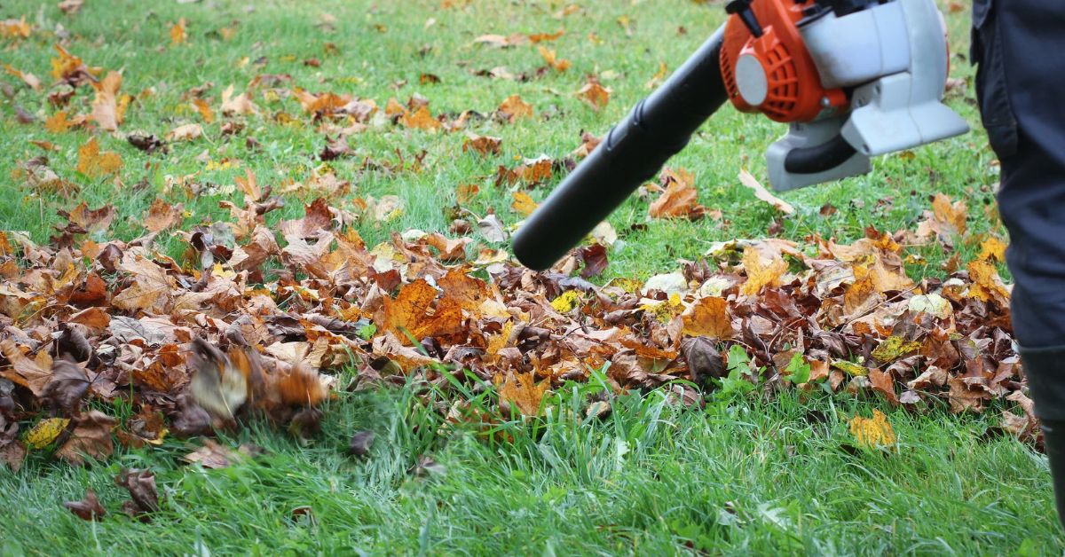 Leaf Removal service in Quad Cities