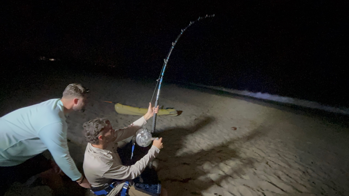 Shark fishing action