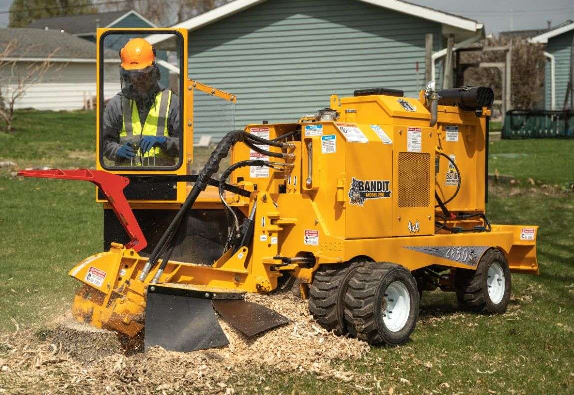 Professional stump grinding service in Arizona