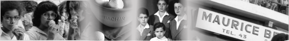 Nossa História - Bachir Brasil sorvetes artesanais