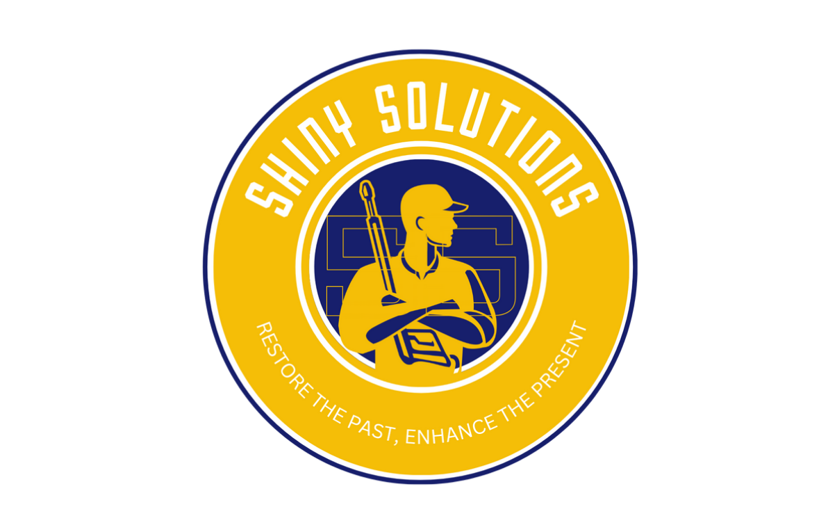 Shiny Solutions Logo