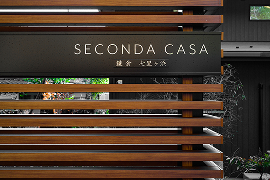 100年オリーブの木