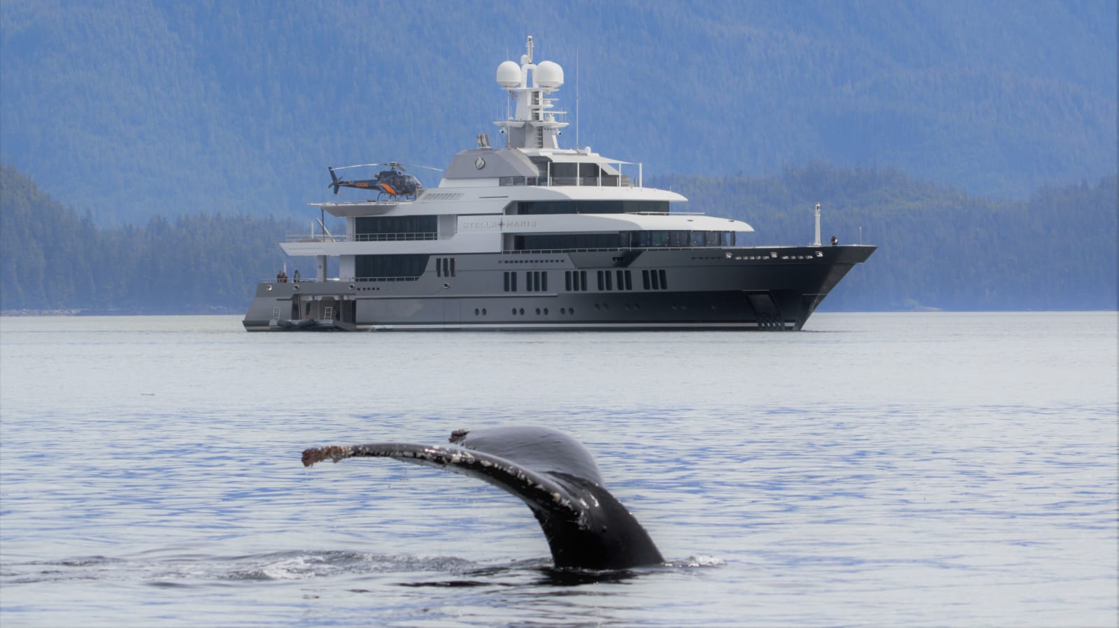 Witness extraordinary wildlife and glaciers from your private deck.