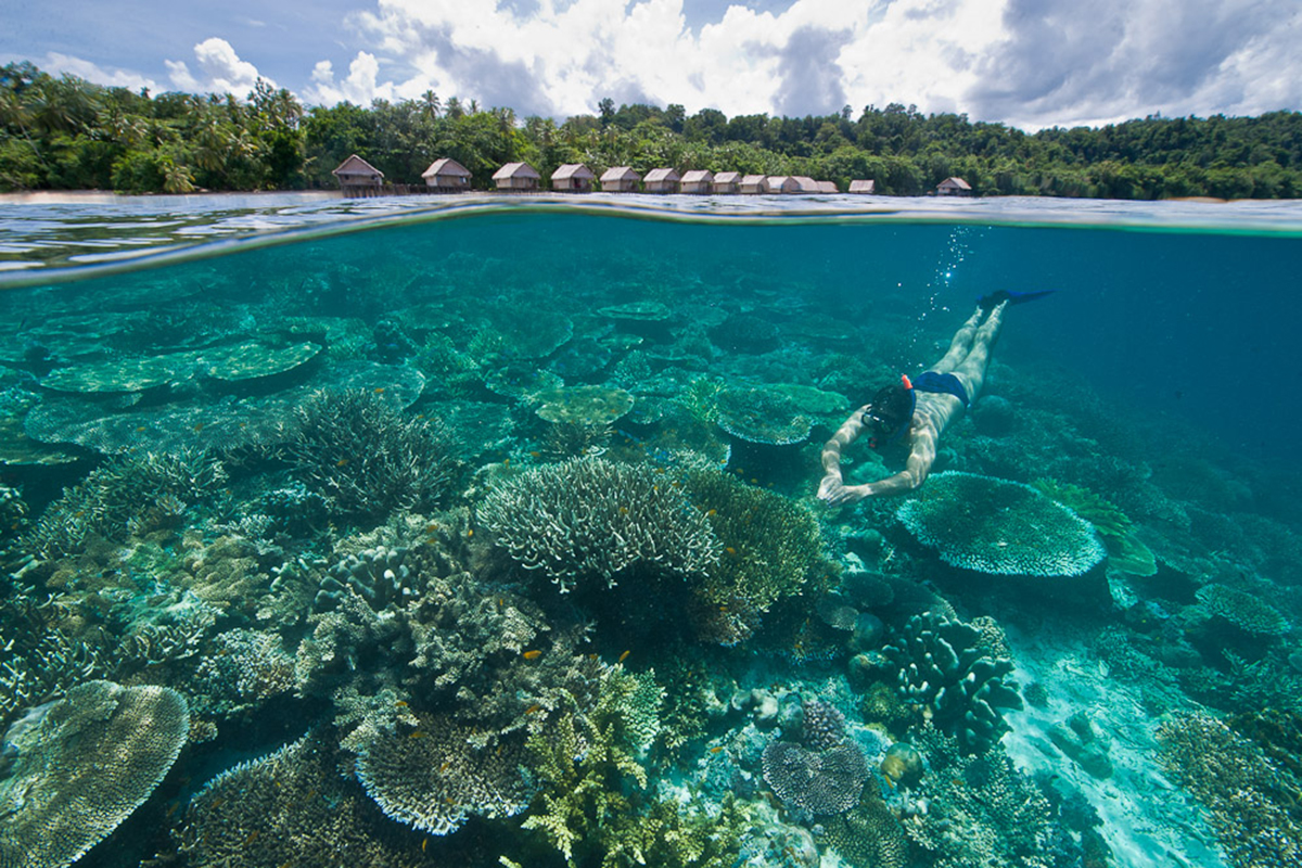Raja Ampat Diving