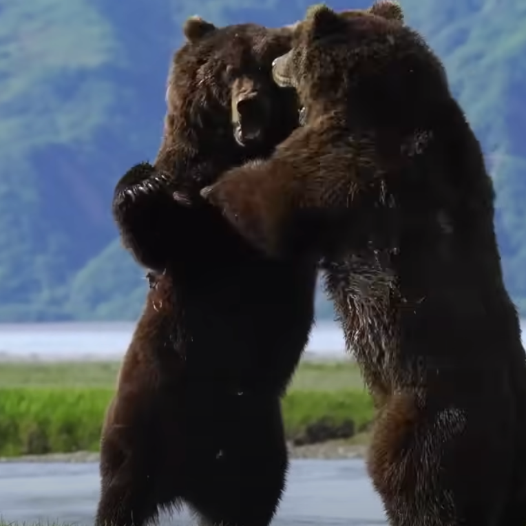 Access remote wilderness anchorages accessible only by private yacht.