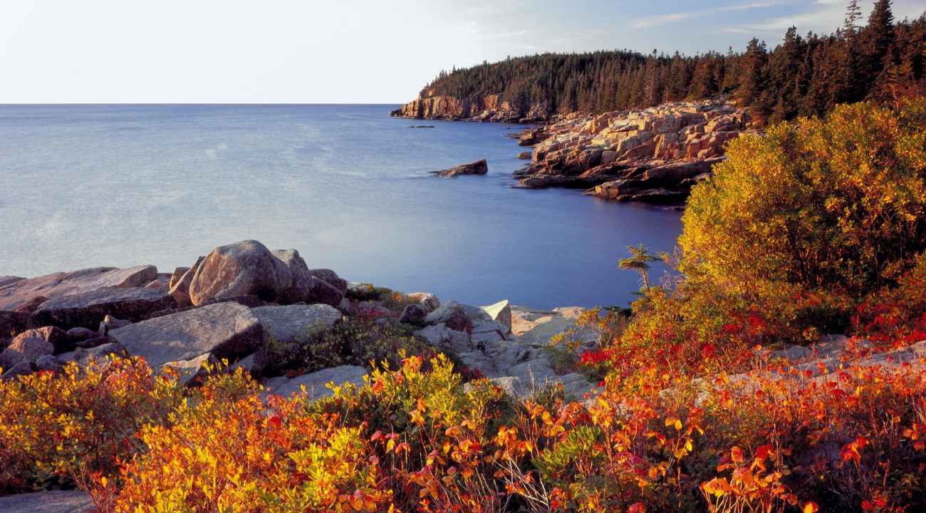 Autumn Foliage Cruising