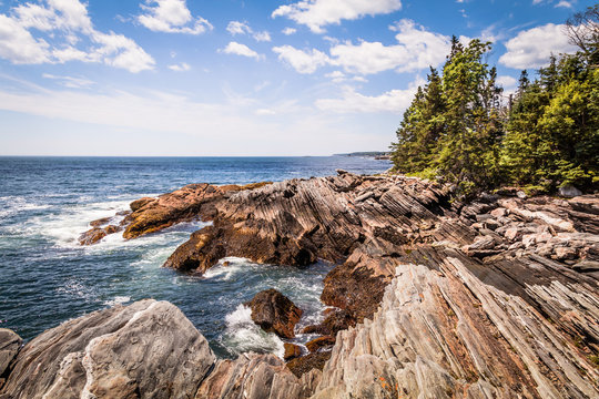 Maine's Wild Coast