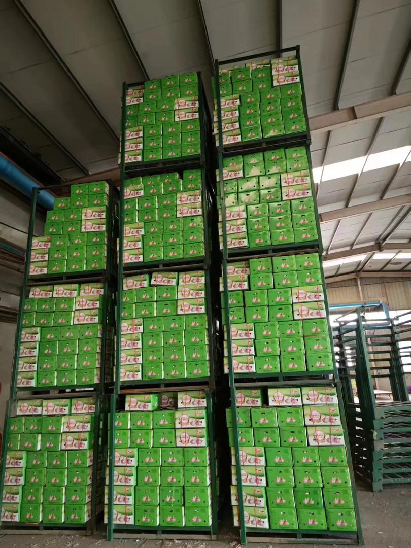 Processus logistique