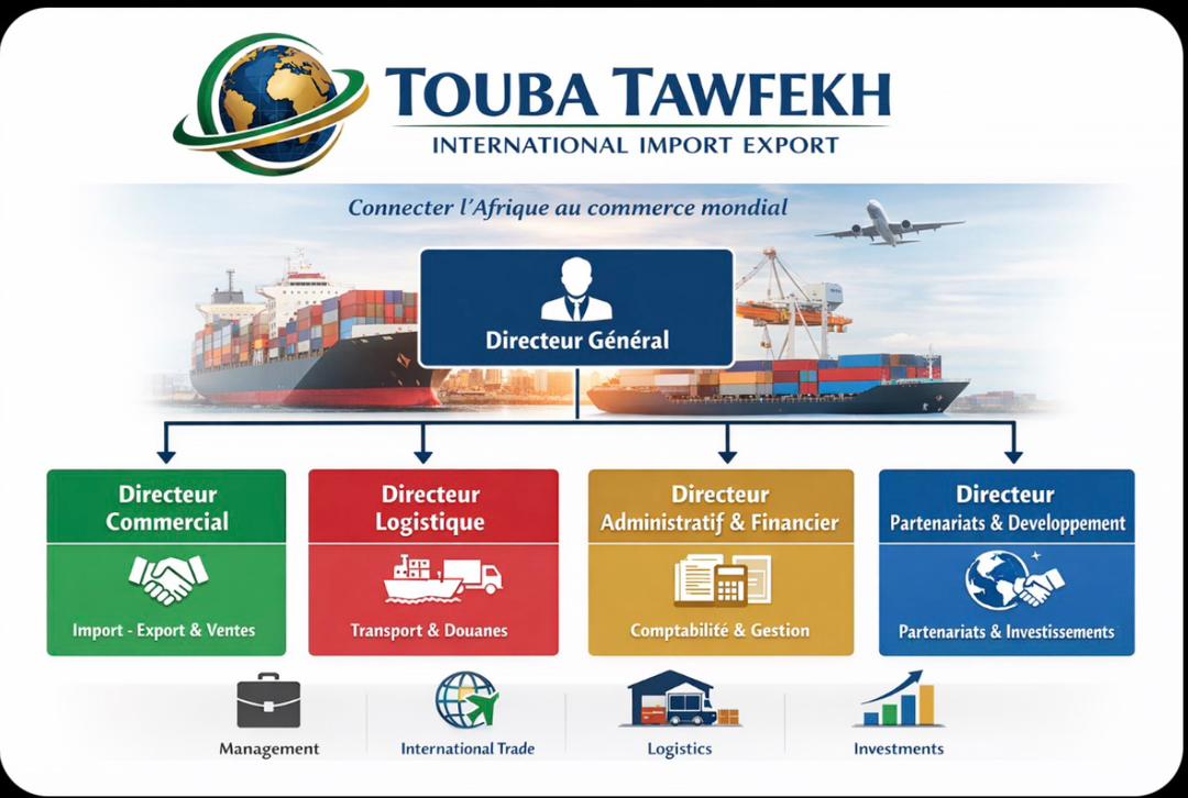 Organigramme Touba Tawfékh Import Export International