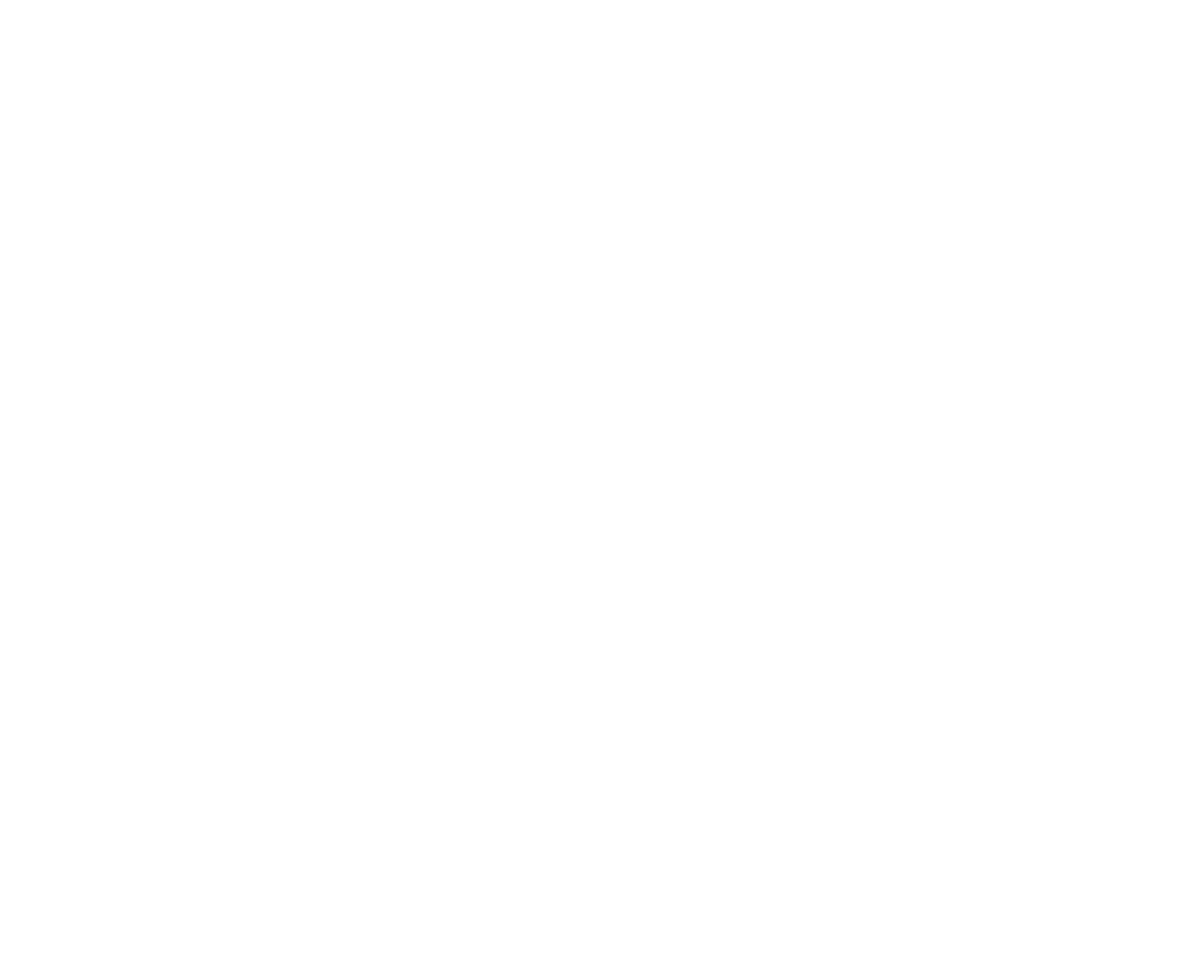 American Dreamers