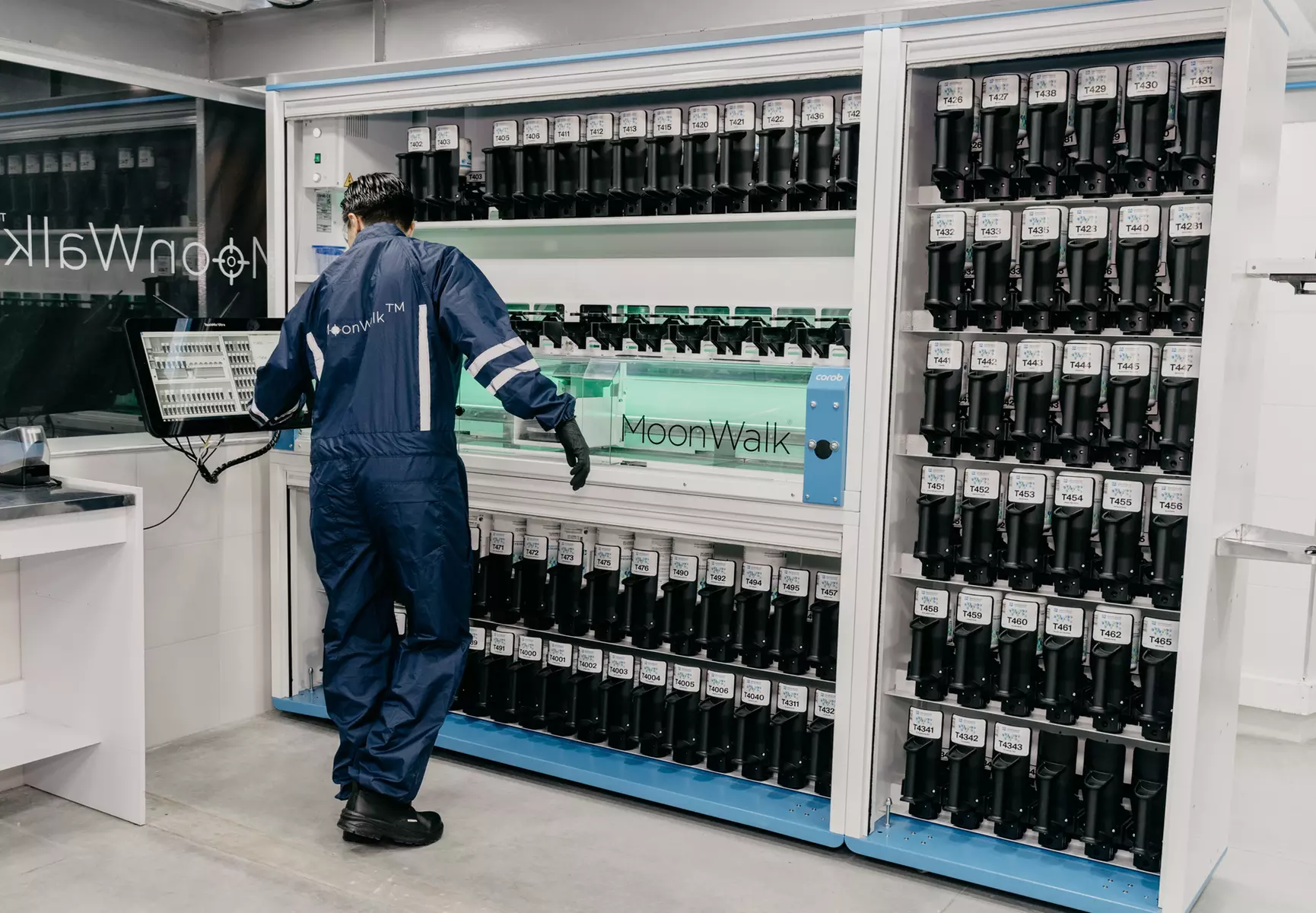 Professional Paint Services