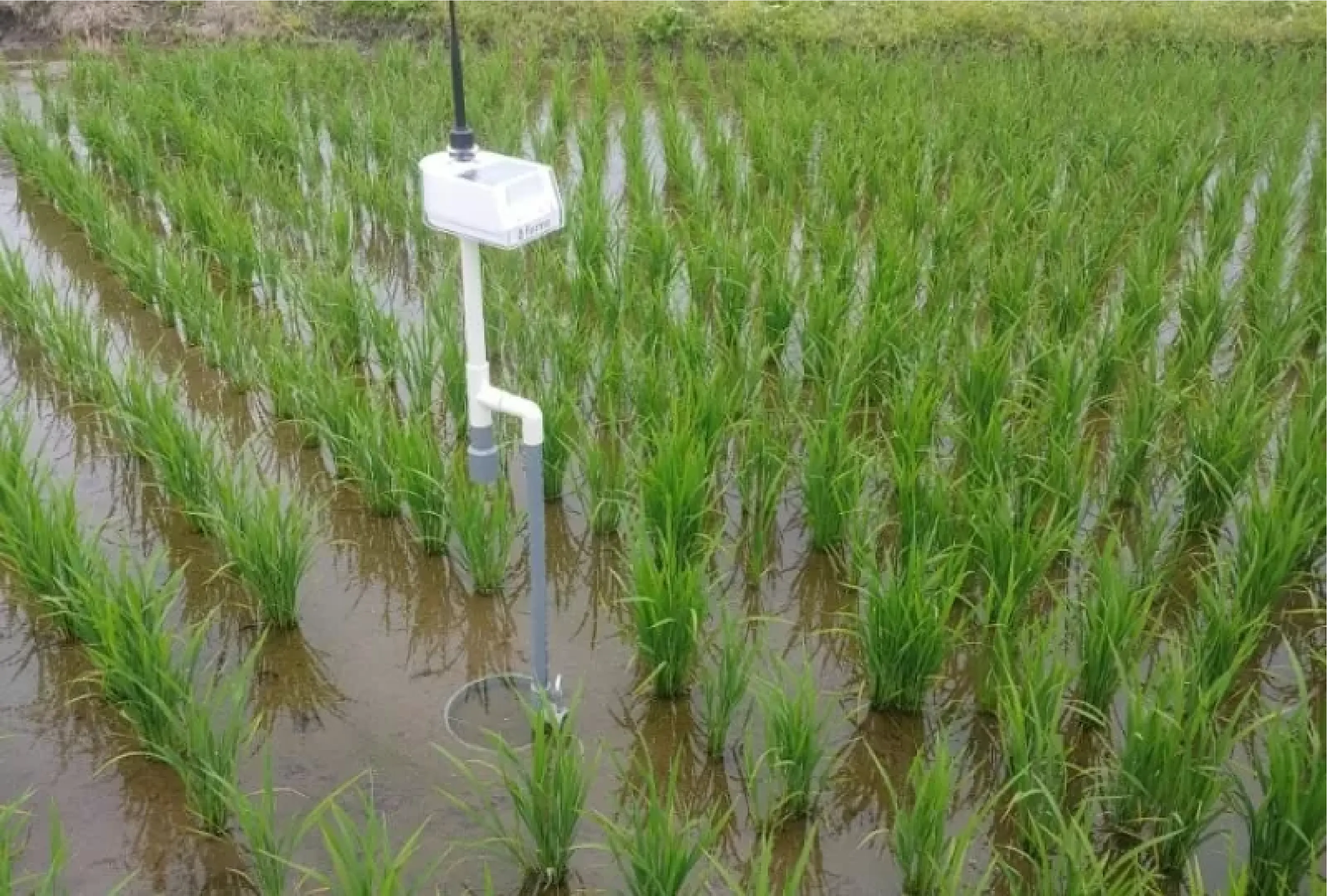 水管理システム