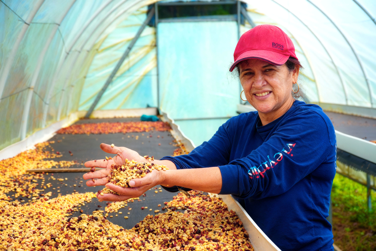 Asesoría empresarial CDE MIPYME RVS Atención personalizada CDE MIPYME RVS - asesoría empresarial
