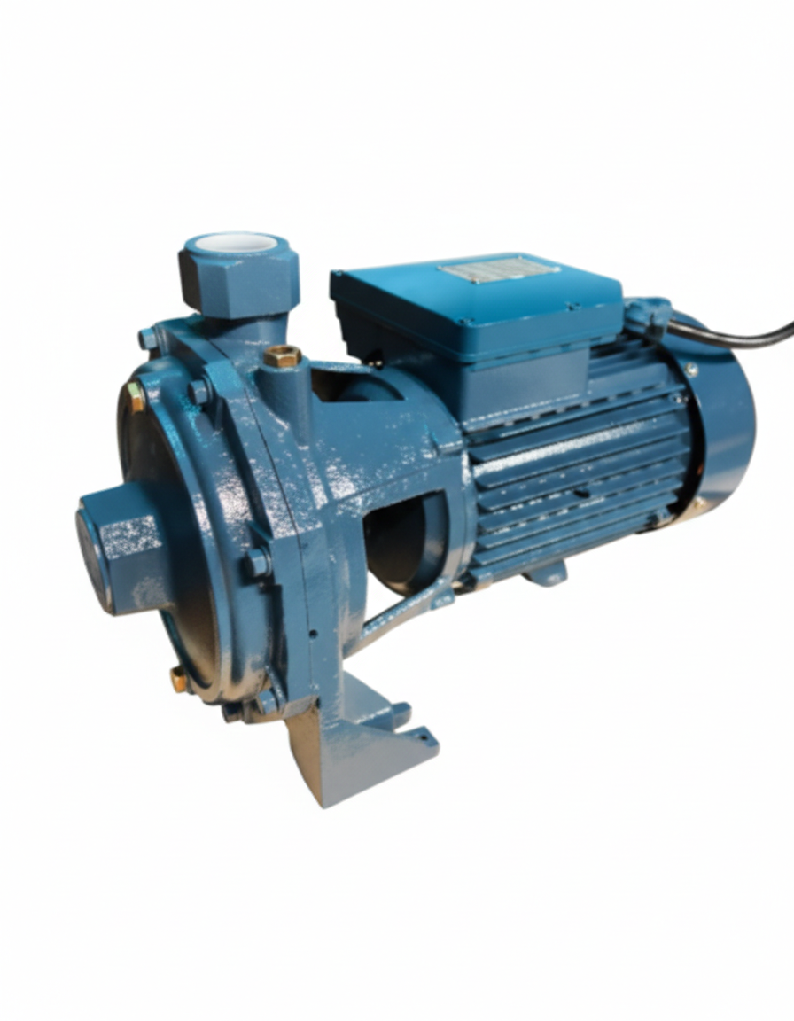 Bơm ly tâm 2 tầng cánh LILI 2CP25-100H