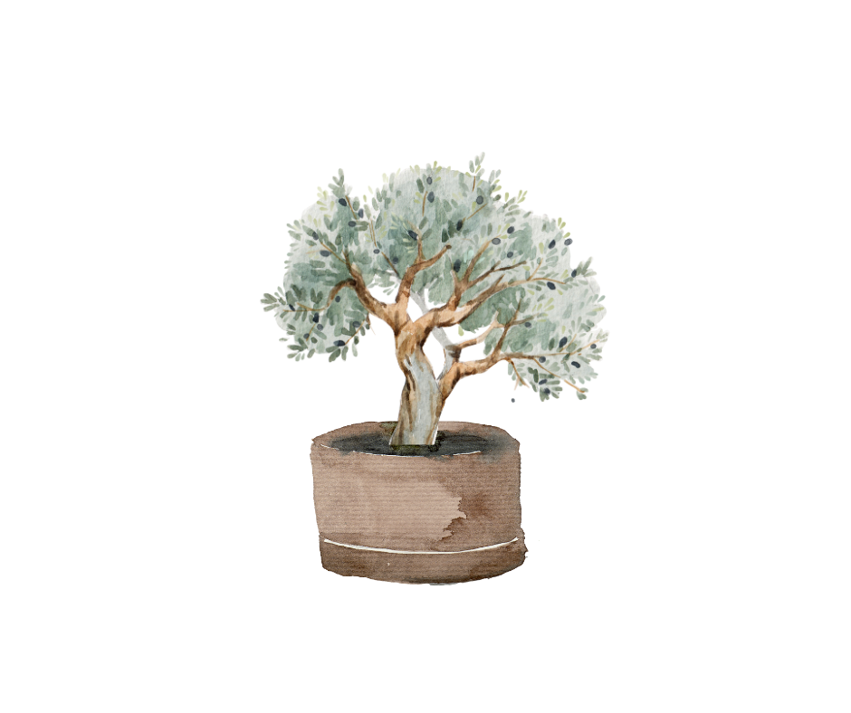The Potted Olive