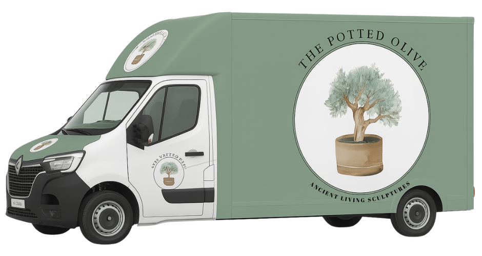 The Potted Olive Delivery Van