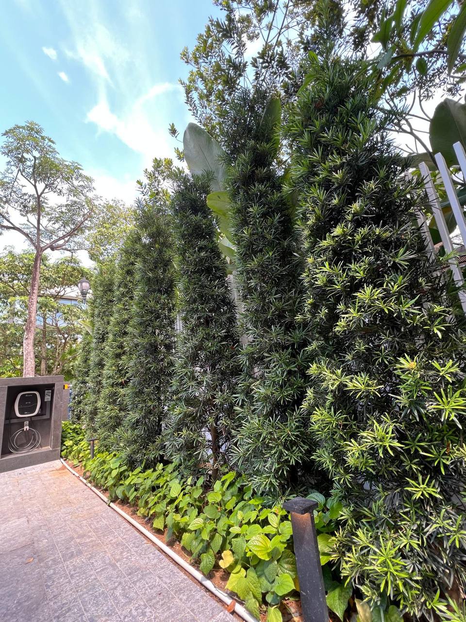 Landed Property thumbnail 4