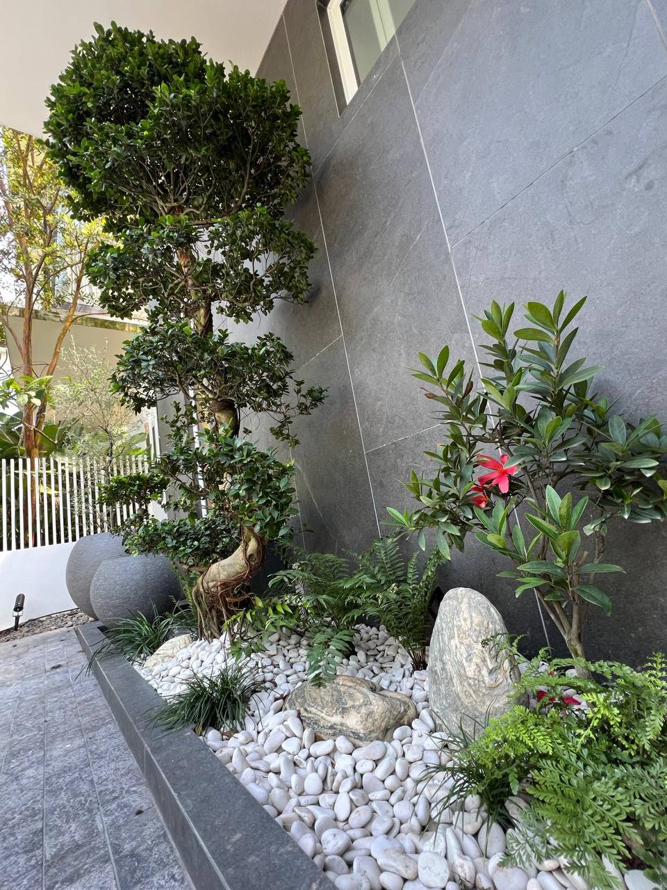 Landed Property thumbnail 3