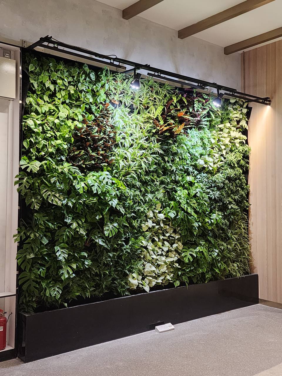 Vertical Green Wall thumbnail 2
