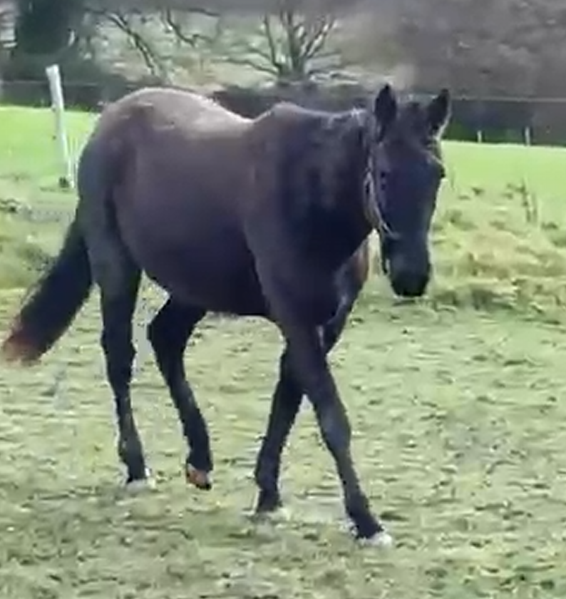 Novembre-Décembre 2025 - Vue Latérale