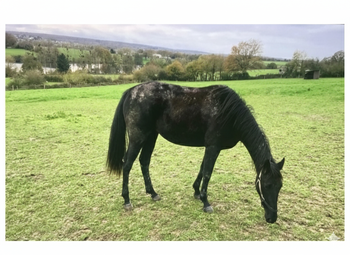 Novembre-Décembre 2025 - État Initial
