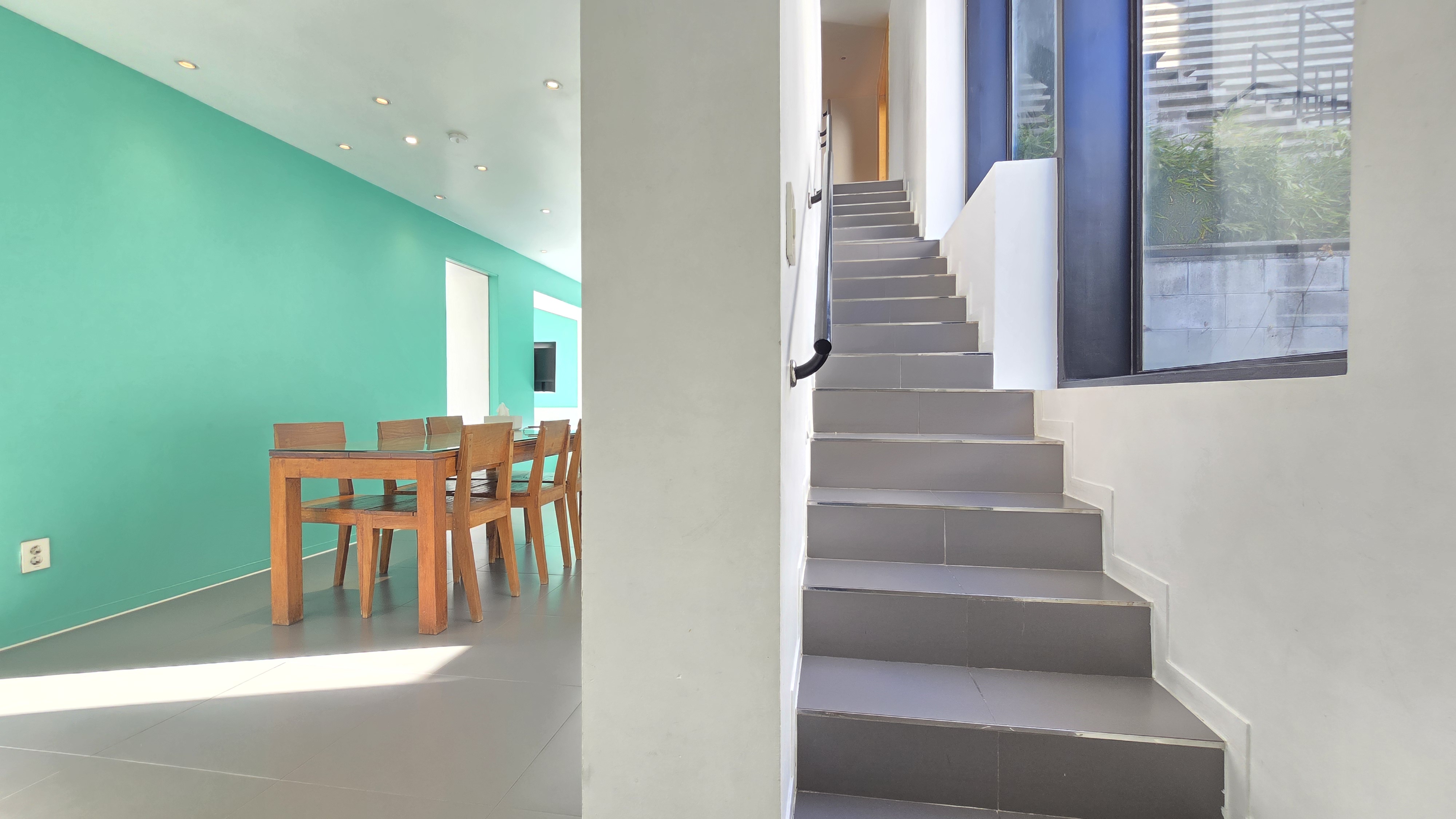 라벤더 thumbnail 4