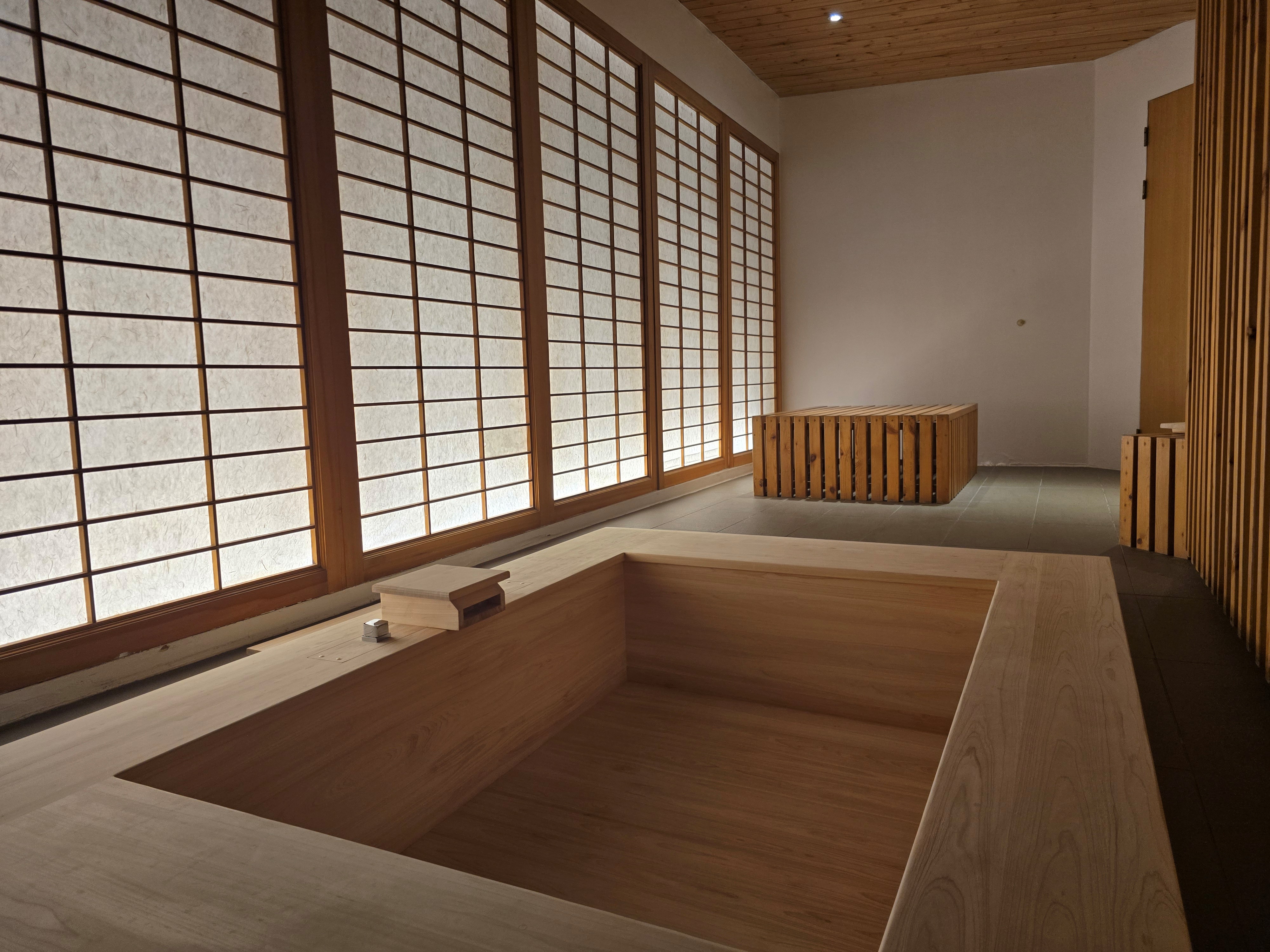 카모마일 thumbnail 10