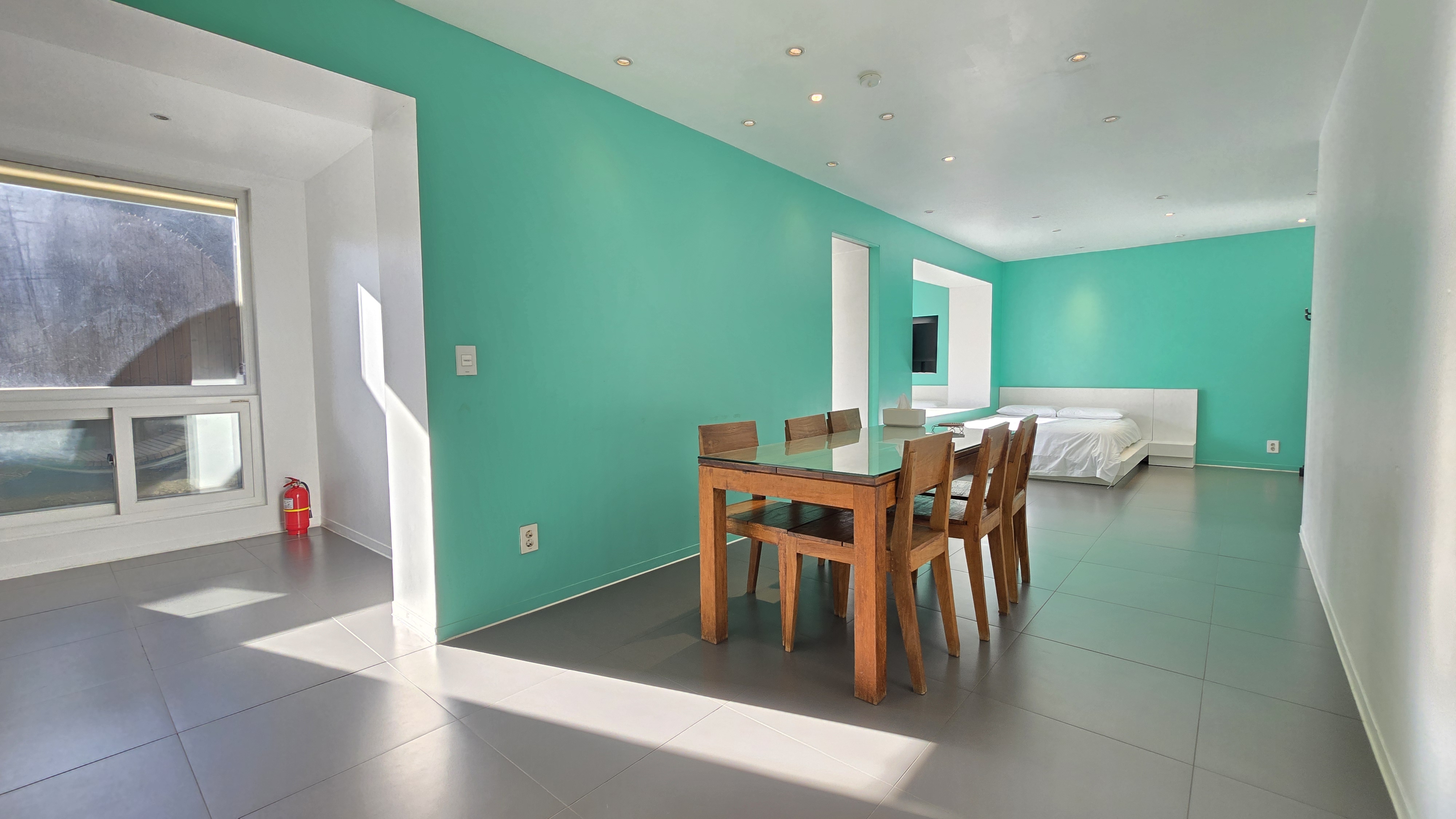 라벤더 thumbnail 5