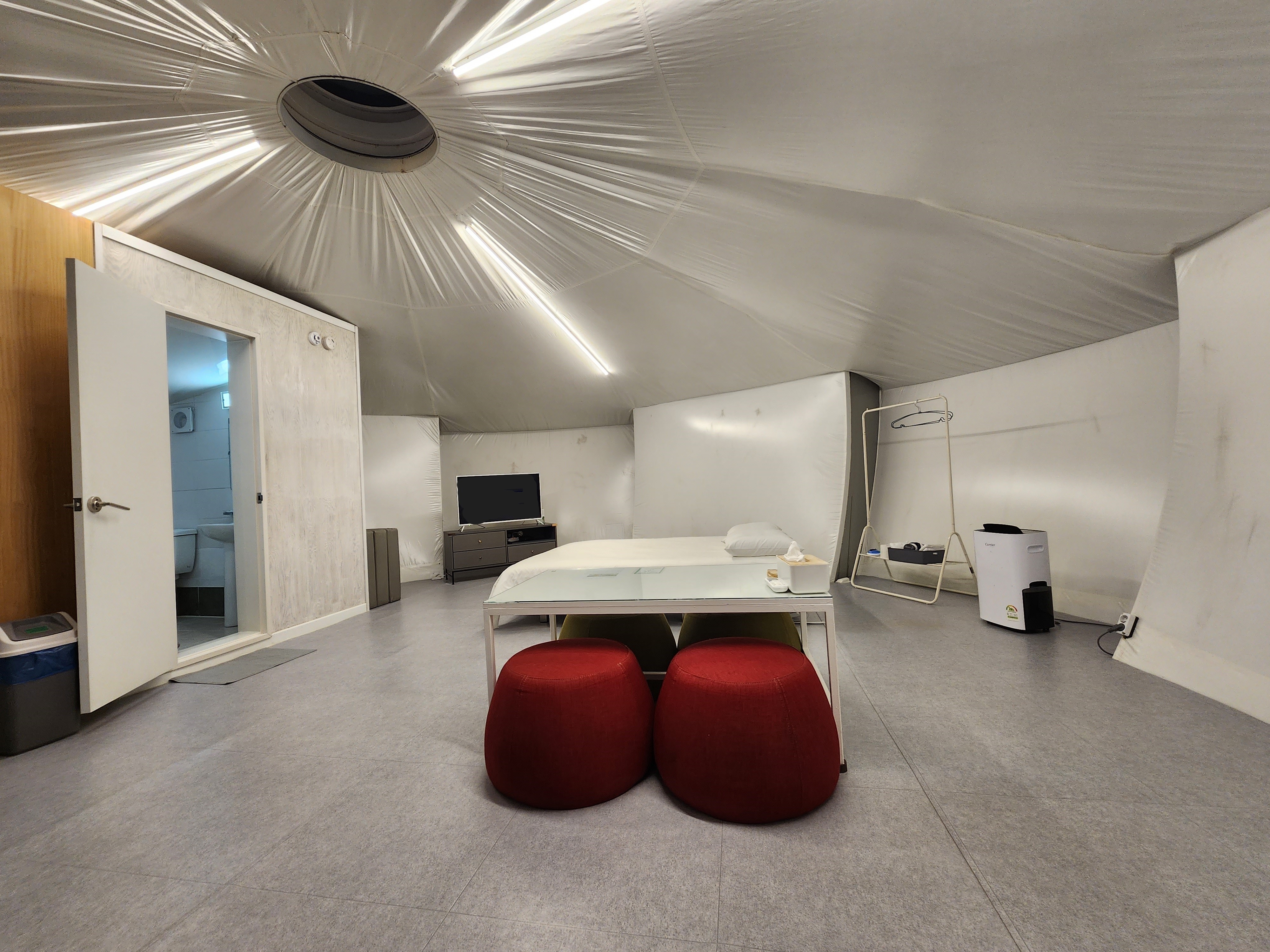 로투스1 thumbnail 4