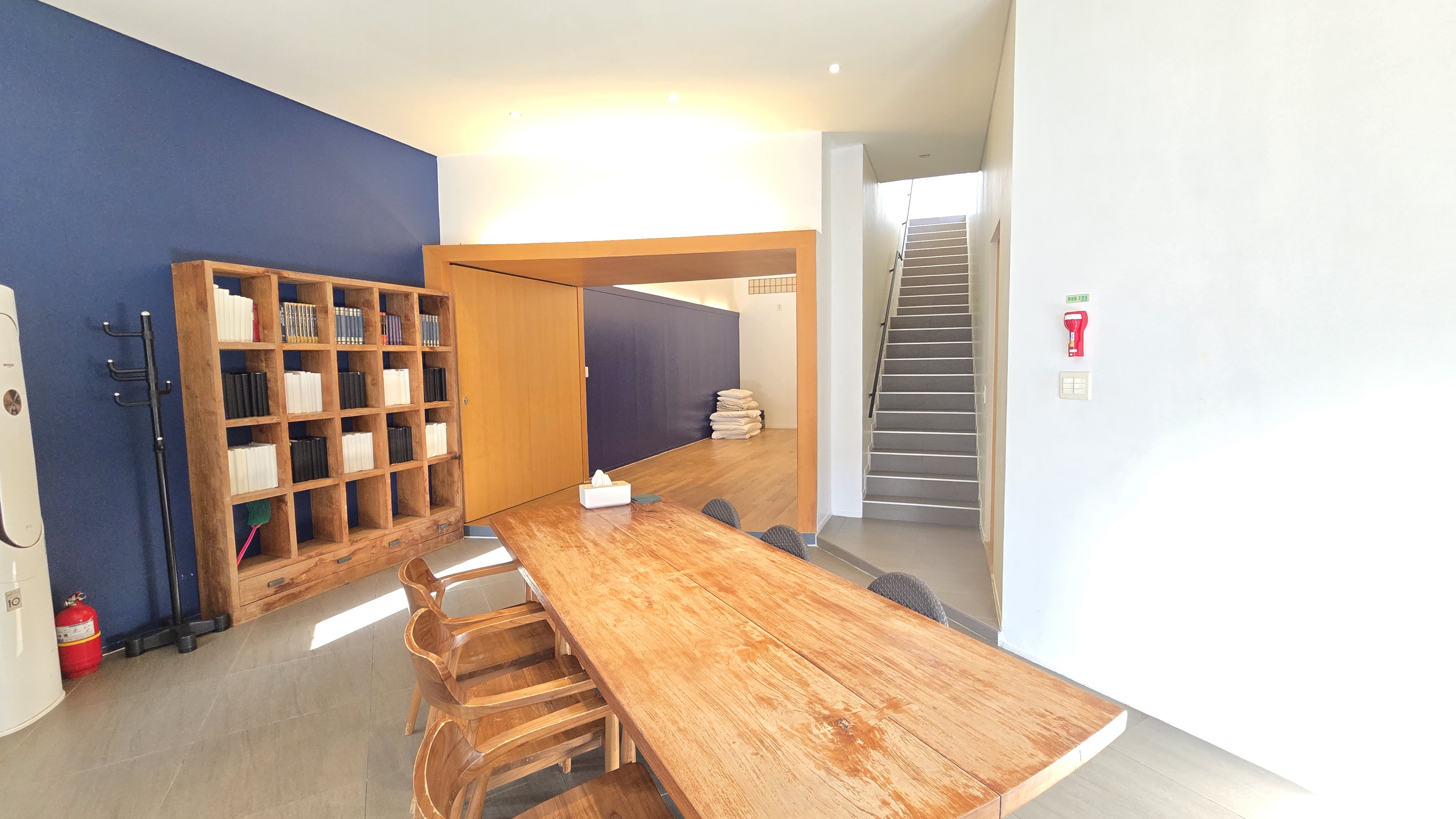 카모마일 thumbnail 3