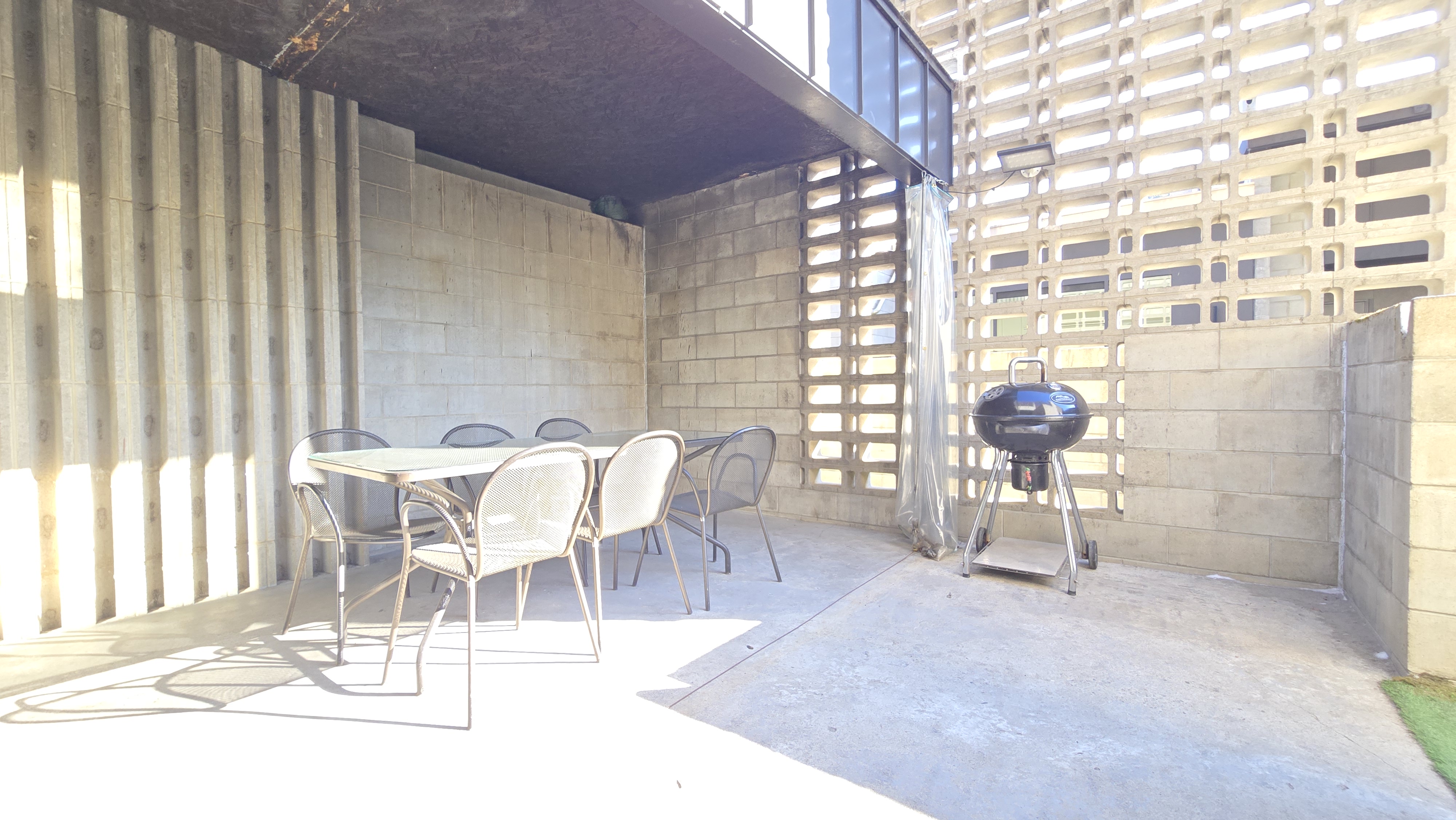 카모마일 thumbnail 12